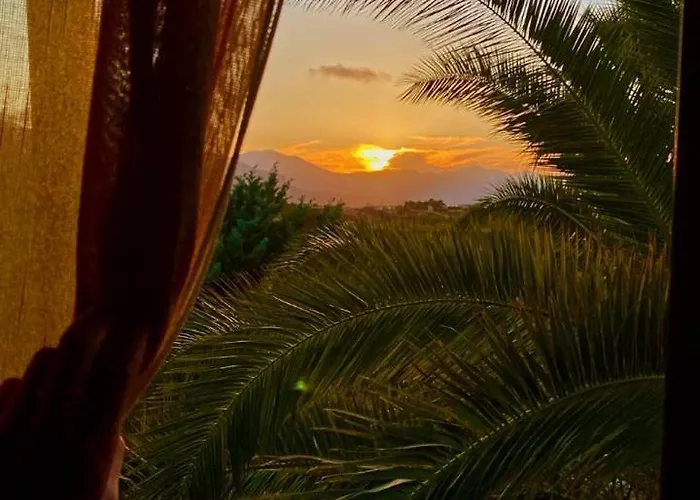فيلة Raspanti