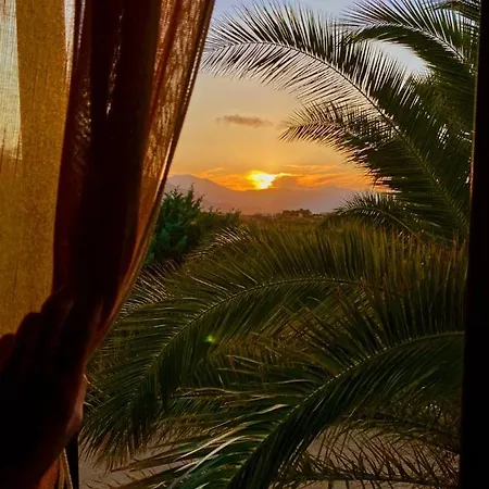 فيلة Raspanti